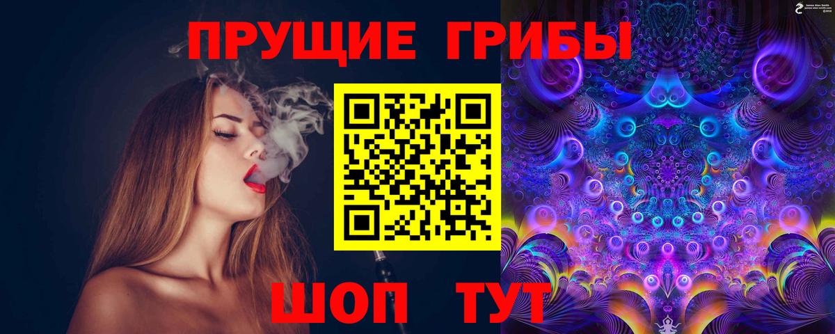 Галлюциногенные грибы Psilocybe Похвистнево