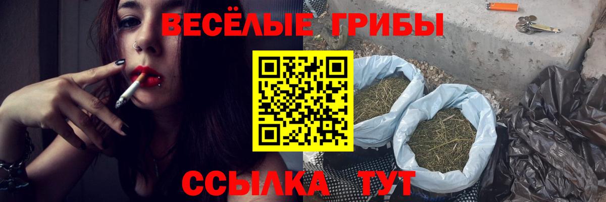 Похвистнево  Галлюциногенные грибы GOLDEN TEACHER  Вход с VPN  Псилоцибиновые грибы мухоморы 
